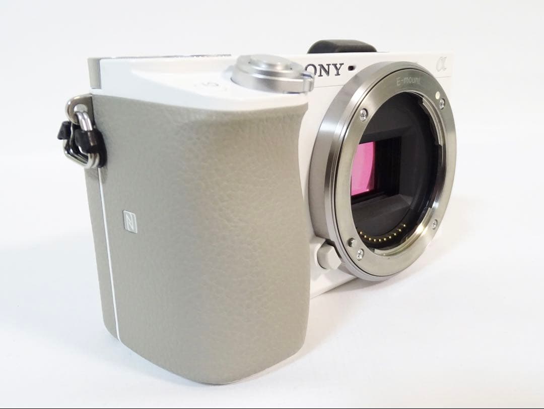 ◆美品◆SONY α6100 ダブルレンズセット シャッター数:5,159回
