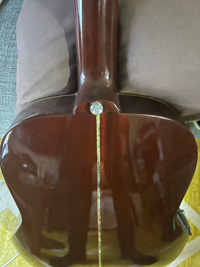 Alegre アコースティックギター　純正ピックアップ付