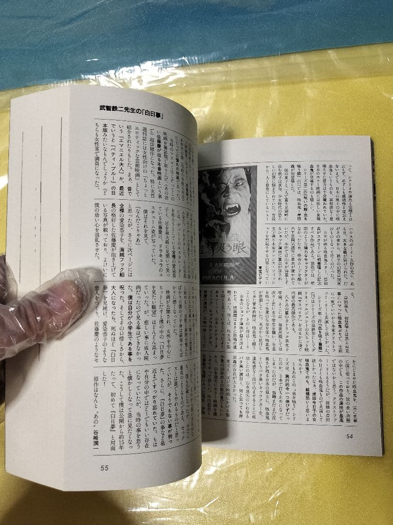 シネマガイドブック他＆趣味性の強い映画研究本16冊セット