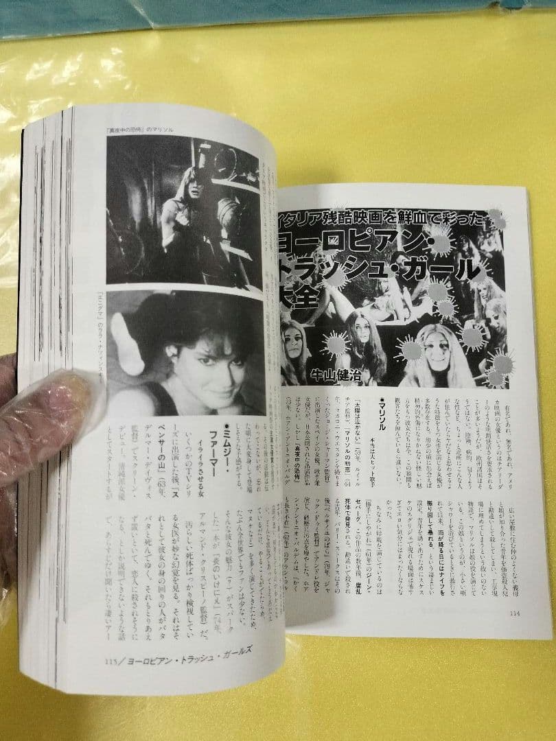 シネマガイドブック他＆趣味性の強い映画研究本16冊セット