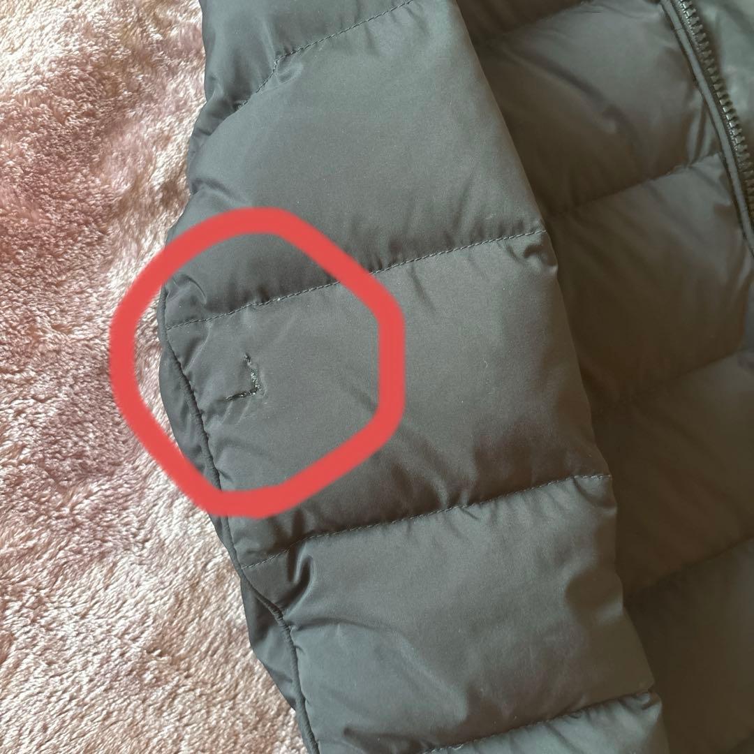 タトラス　ポリテアマ　Demi-Luxe BEAMS別注