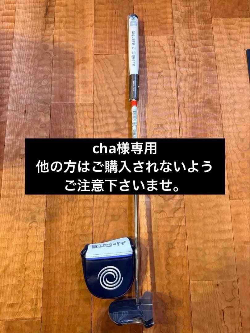 ODYSSEY パター　(オデッセイ)