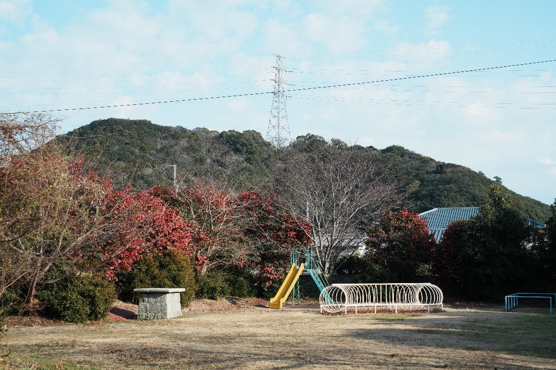 【整備＆テスト済】Nikon Ai-s Nikkor 50mm f1.8 506