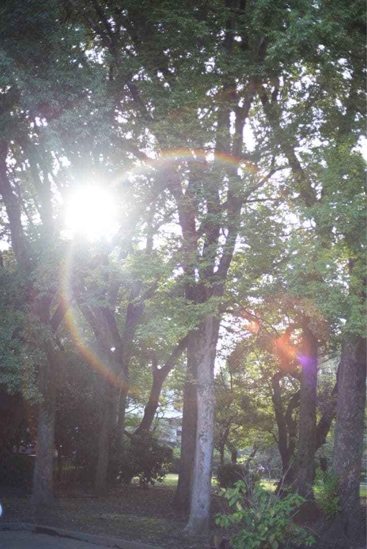 YASHICA ML 50mm F1.7 オールドレンズ