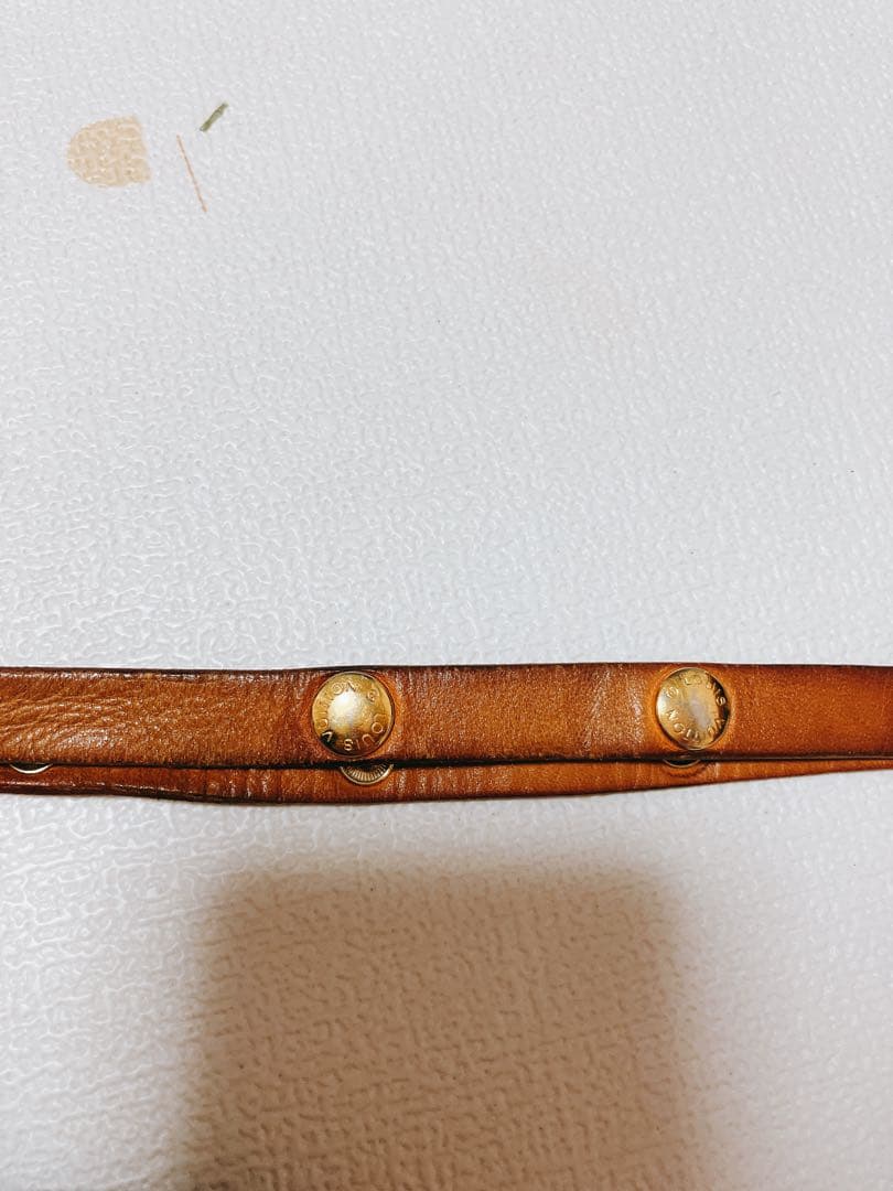 LOUIS VUITTON モノグラム ポシェットフロランティーヌM51855