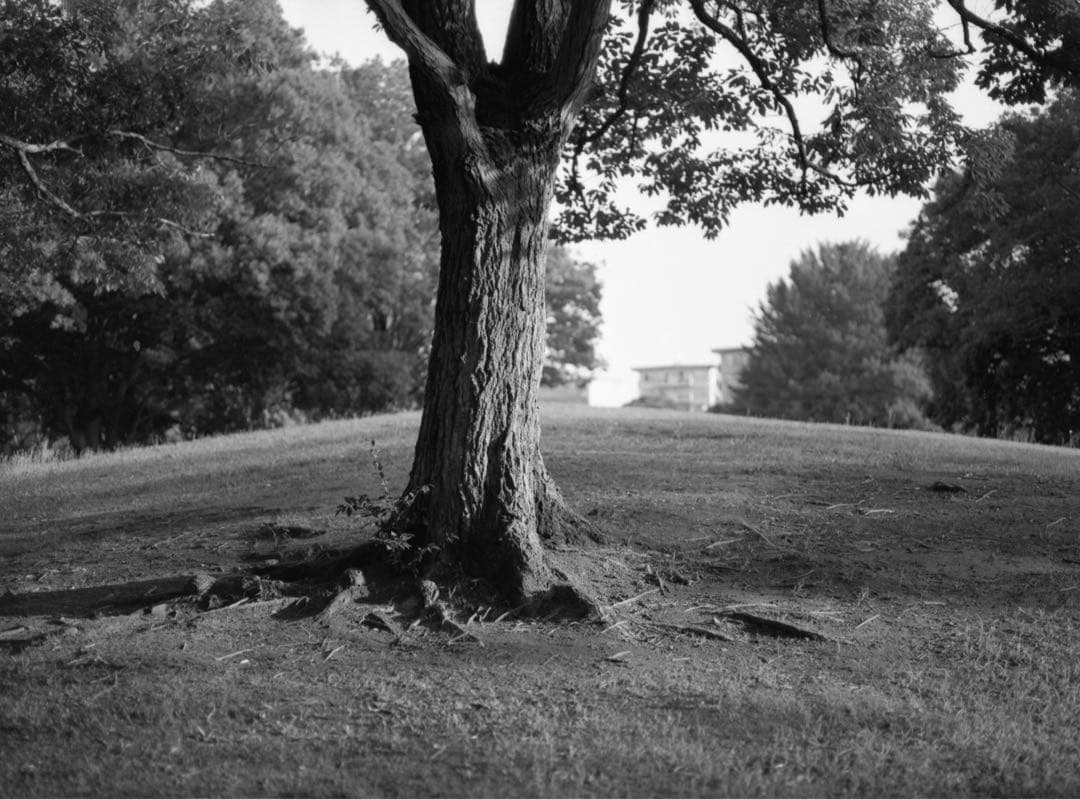 ＜作例あり＞MAMIYA M645 + MAMIYA-SEKOR C 　試写済