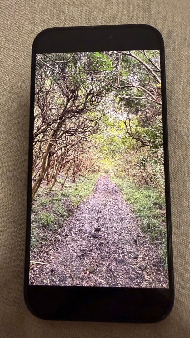 iPhone 15 Pro ブルー SIMフリー 画面フィルム&ケース付