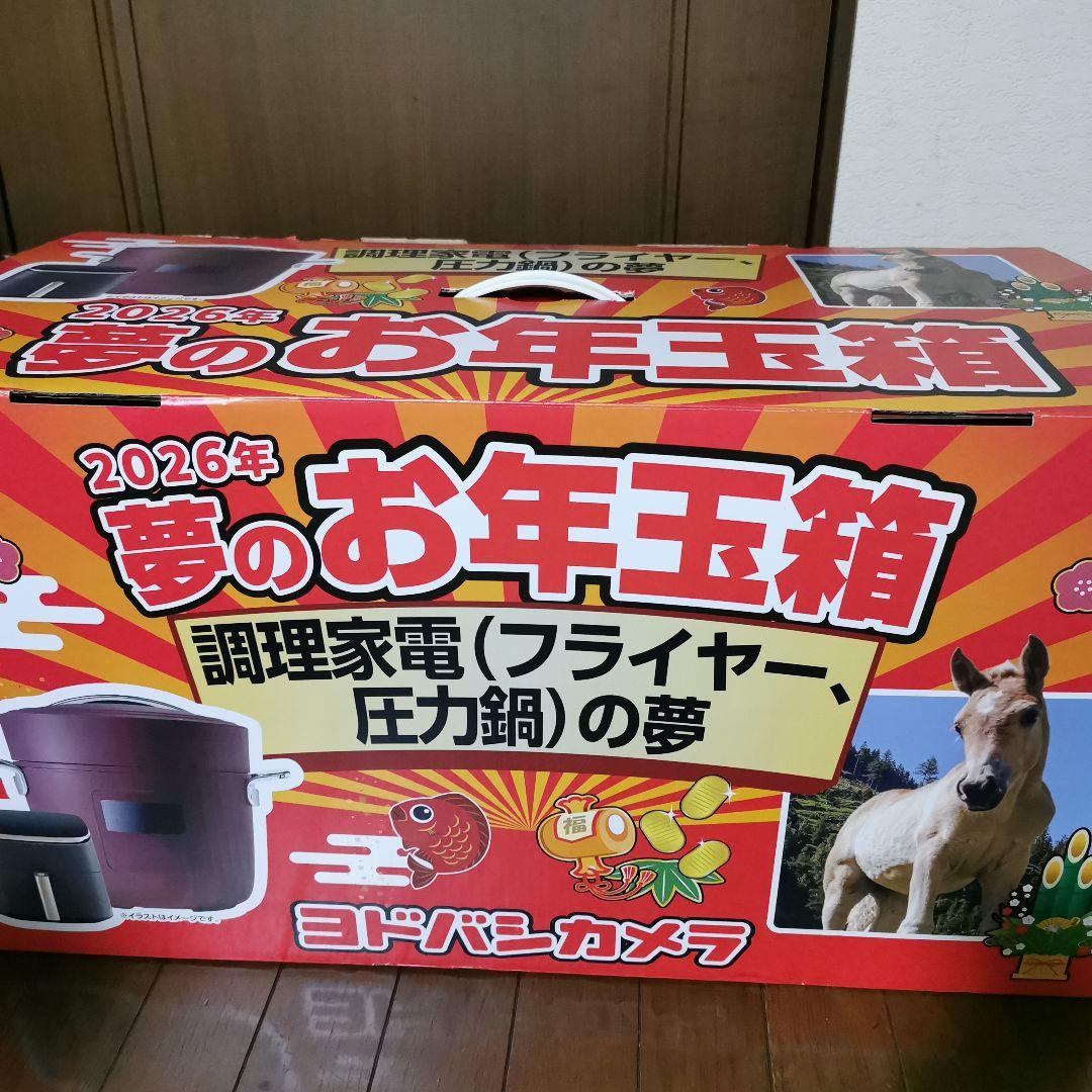 【35,000円相当】ヨドバシ 夢のお年玉箱 調理家電 (フライヤー、圧力鍋)