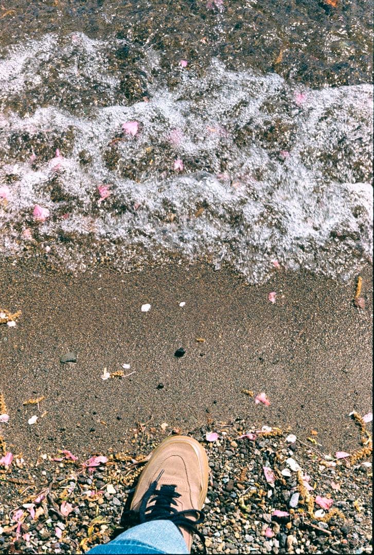 Leica IIIa 実働品　O/H済