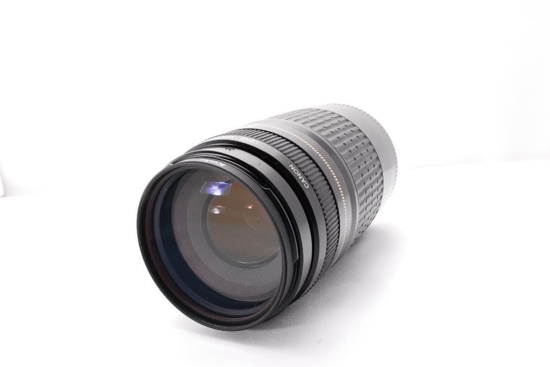 超望遠レンズのみ　Canon Kiss X2 手ぶれ補正　軽量　高画質