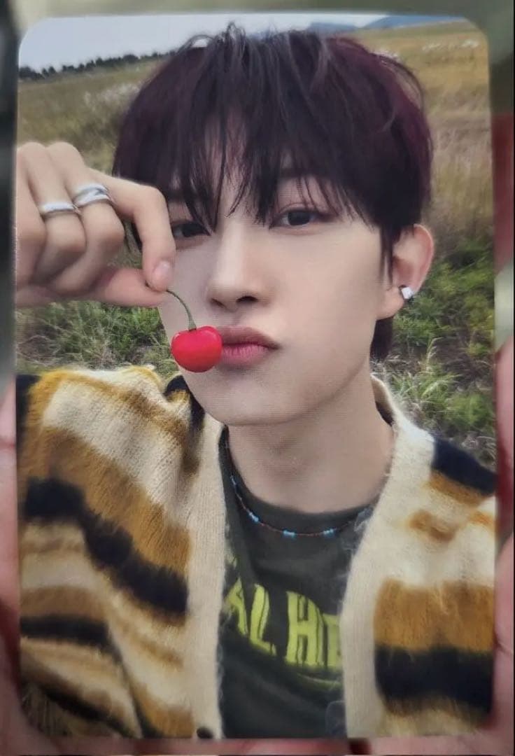 Ald1 サノク　トレカ　ゴヌ