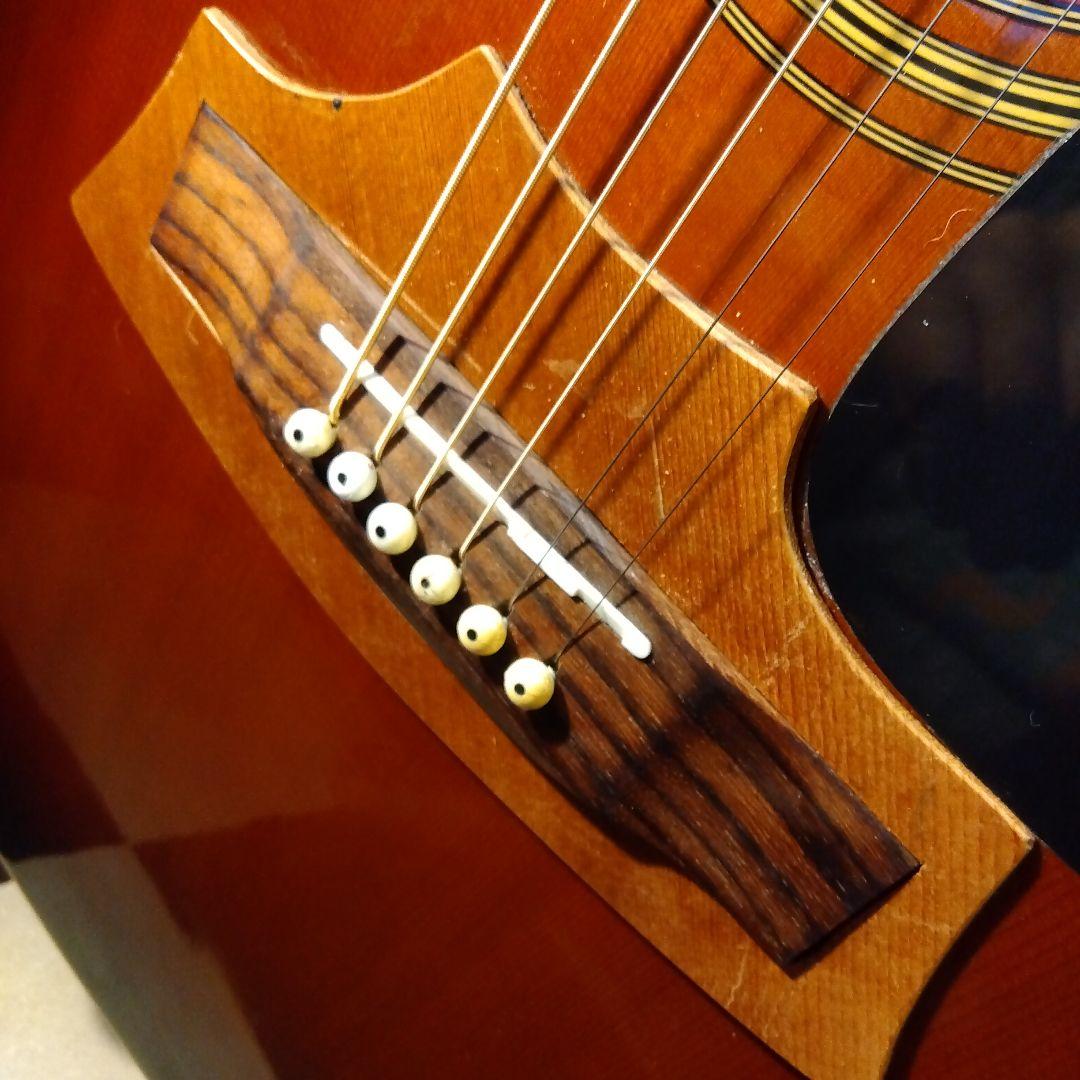 TAKAMINE、アコースティック！ビンテージ…