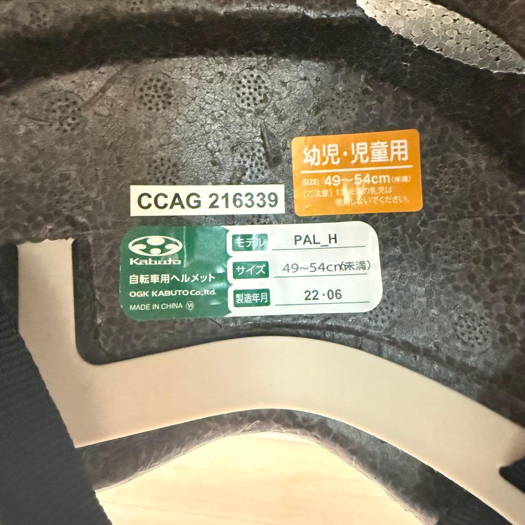 STRIDER ストライダー　限定カラー　アイスブルー　12インチ