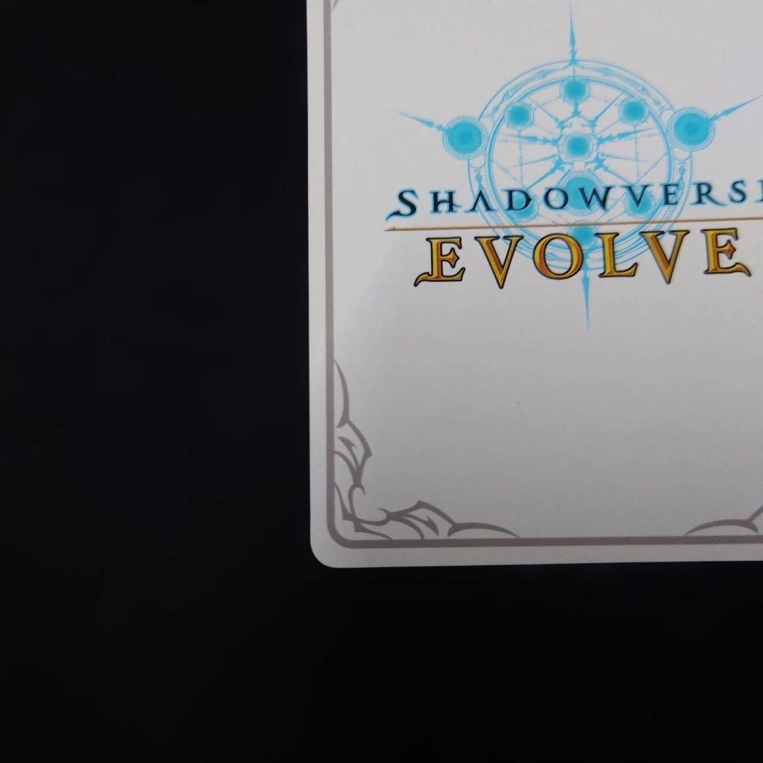 シャドウバースエボルヴ プリンセスフォーム レイ リーダー パラレル仕様