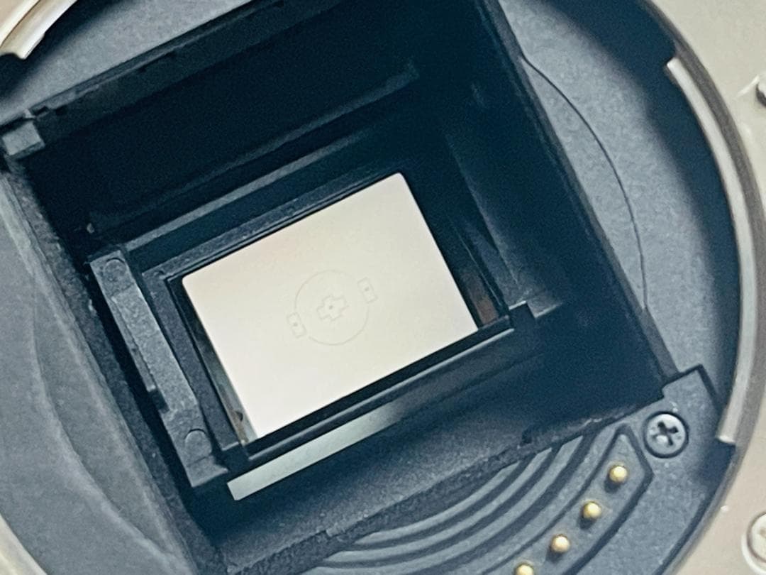 ショット数1390回【作例あり】OLYMPUS E-500 オリンパス 一眼レフ