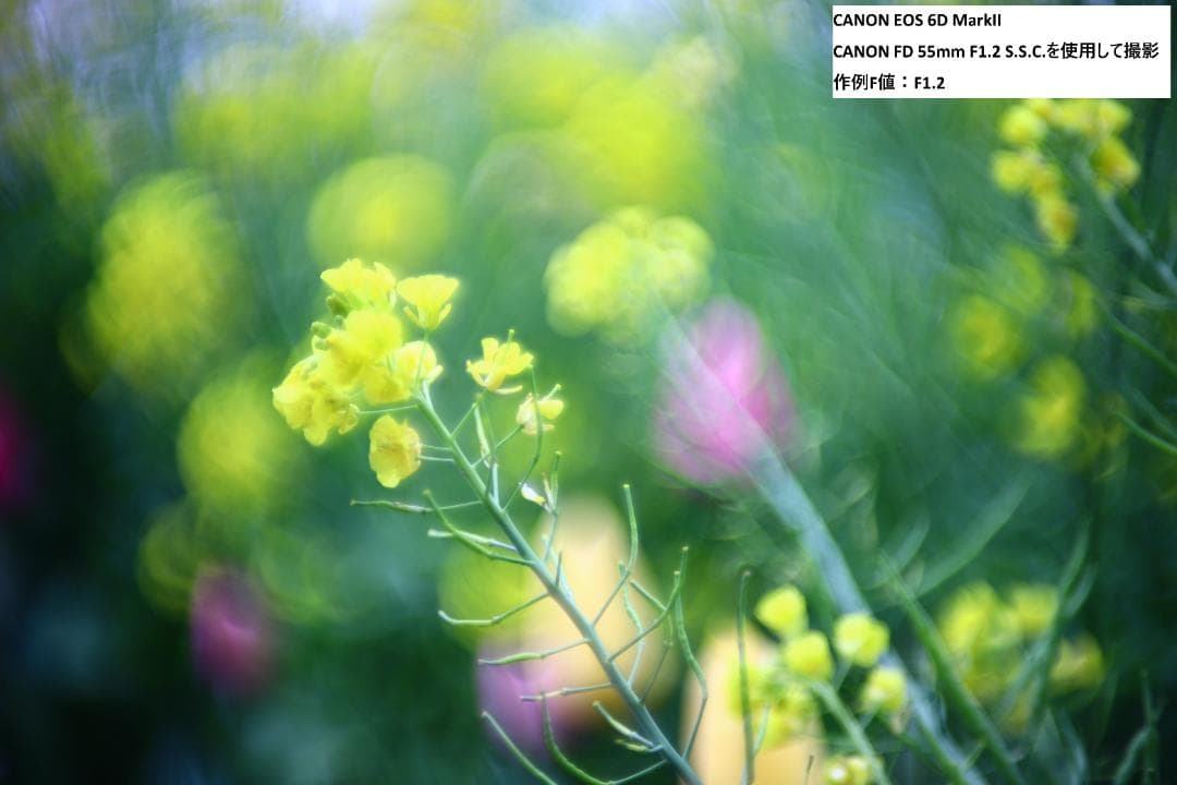 【動作OK】キヤノン CANON FD 55mm F1.2 S.S.C.