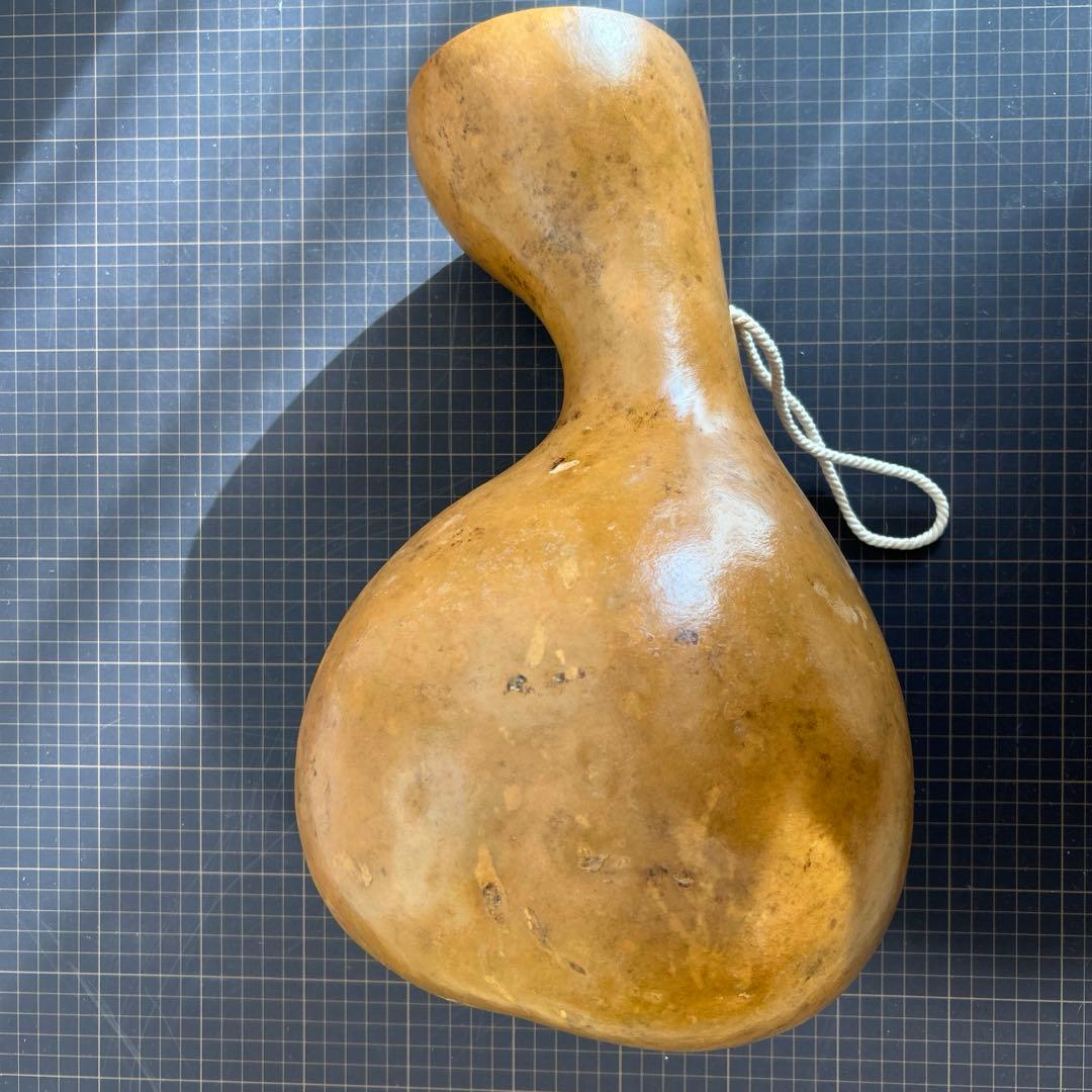 イプ　フラ楽器 収納バッグ付き