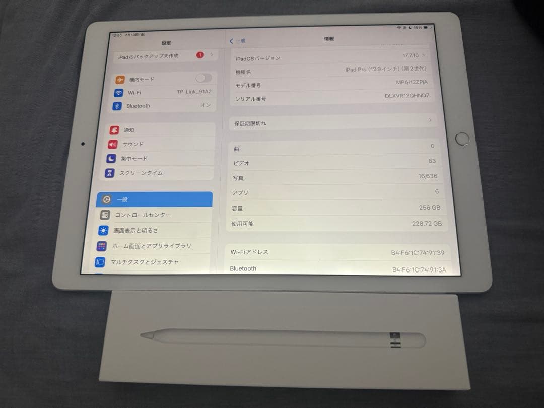iPad Pro 12.9インチ (第2世代) 256GB