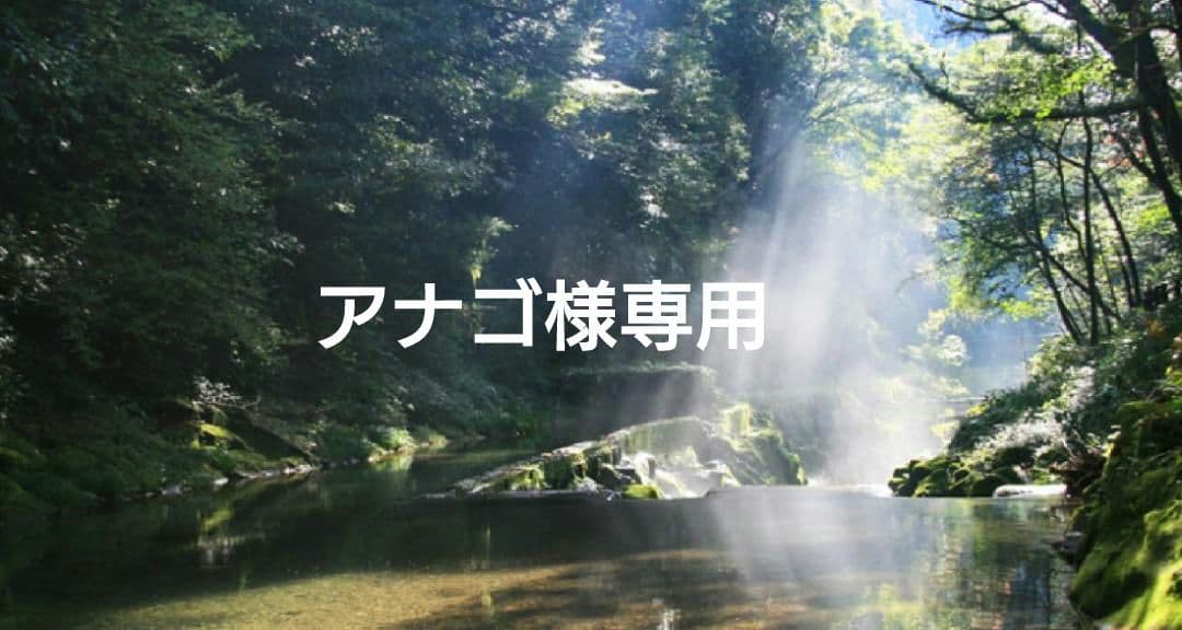 アナゴ 特典付✨電磁波防止✨本物CMCペンダント USA版 強力１本