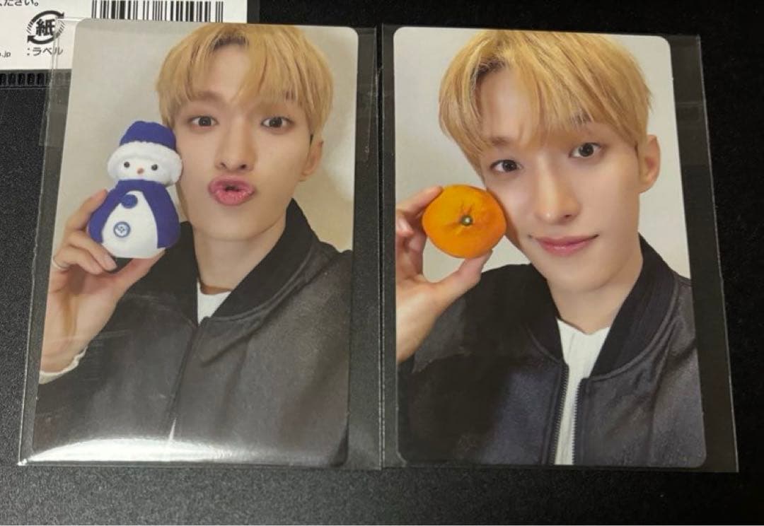 seventeen DxS Serenade ライブ　特典 トレカ　ドギョム