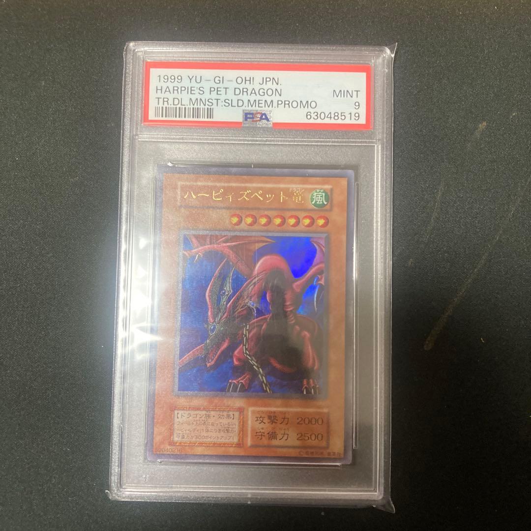 ハーピィズペット竜　PSA9