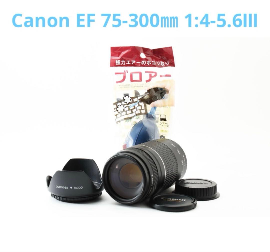 美品☆キヤノン Canon EF 75-300㎜ 1:4-5.6Ⅲ