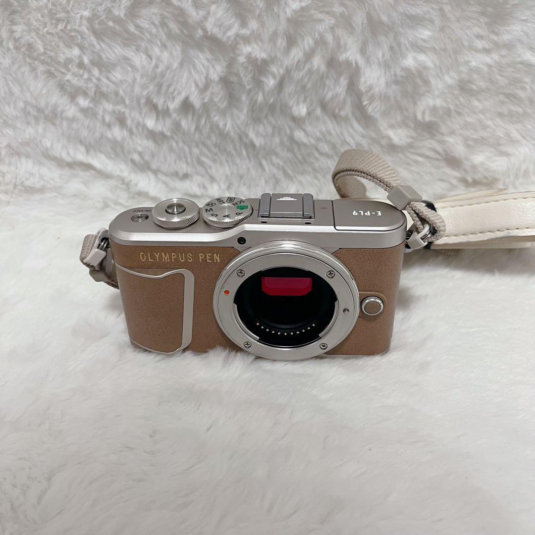 【希少】オリンパス E-PL9 ボディ