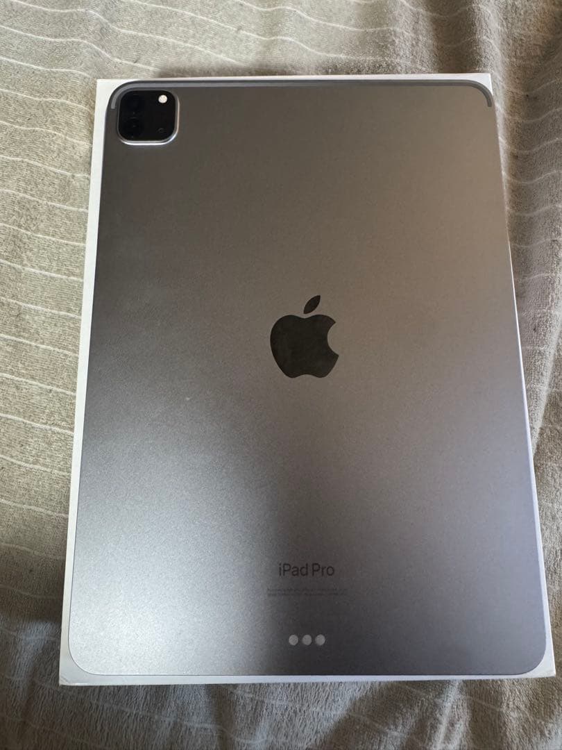 iPadPro11インチ 第4世代 256GB 最大充電容量100%