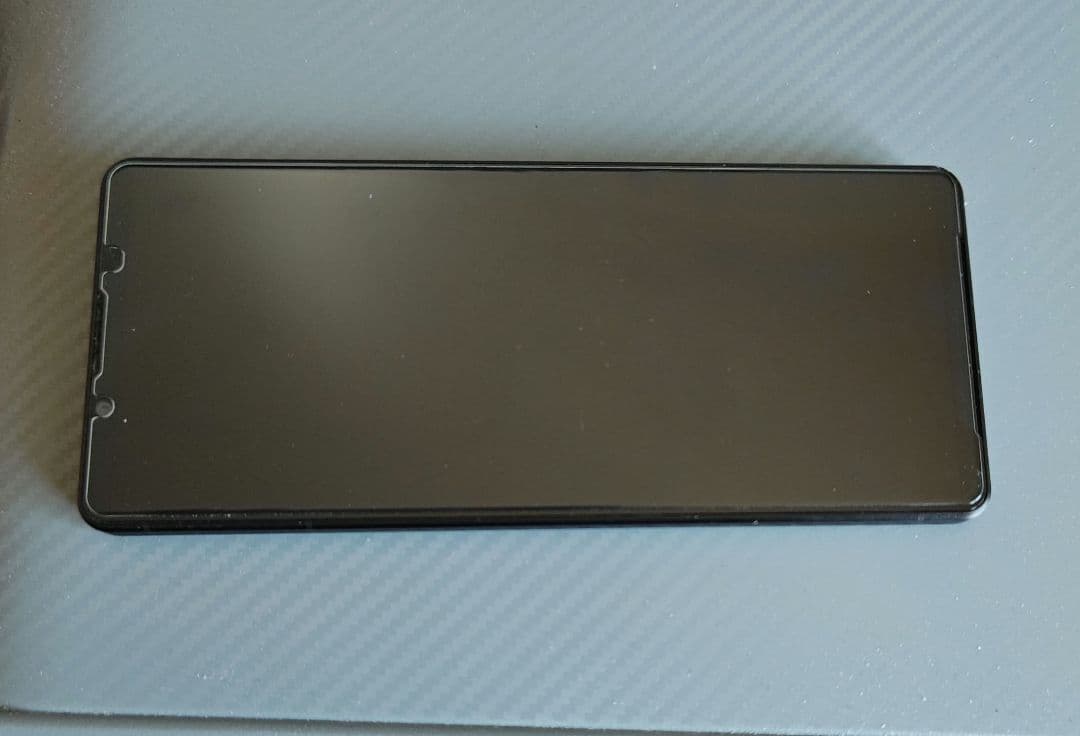 Xperia 1 Ⅴ SIMフリー直販版 512GB 中古