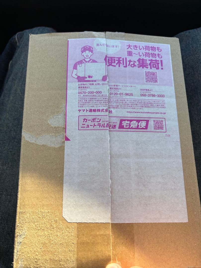 ポケモン　メガドリームEX ポケセン産　シュリンク付き