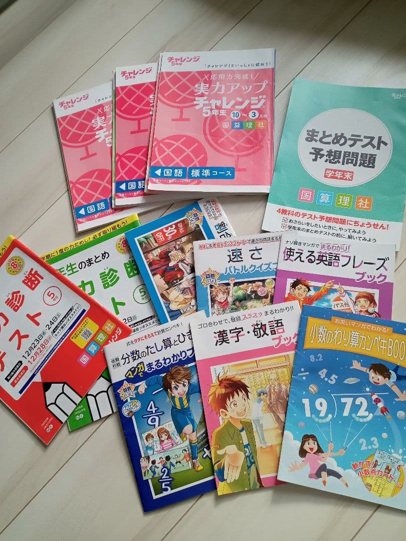 チャレンジ　5年生　ベネッセ　こどもちゃれんじ　知育　学習　本　 ポスター