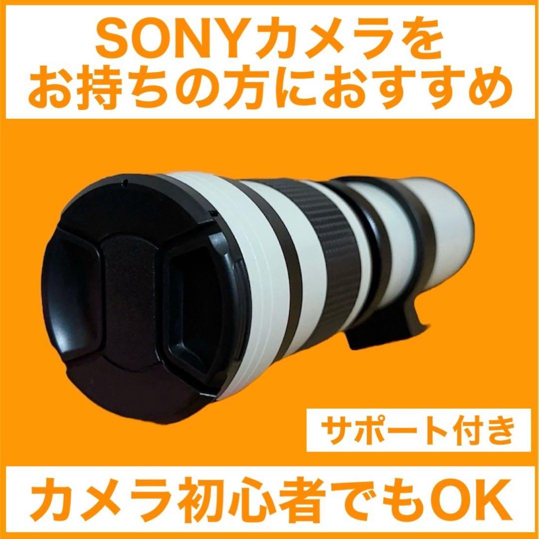 SONYミラーレスカメラに対応！ズームレンズ！おすすめ！初心者でもサポートします