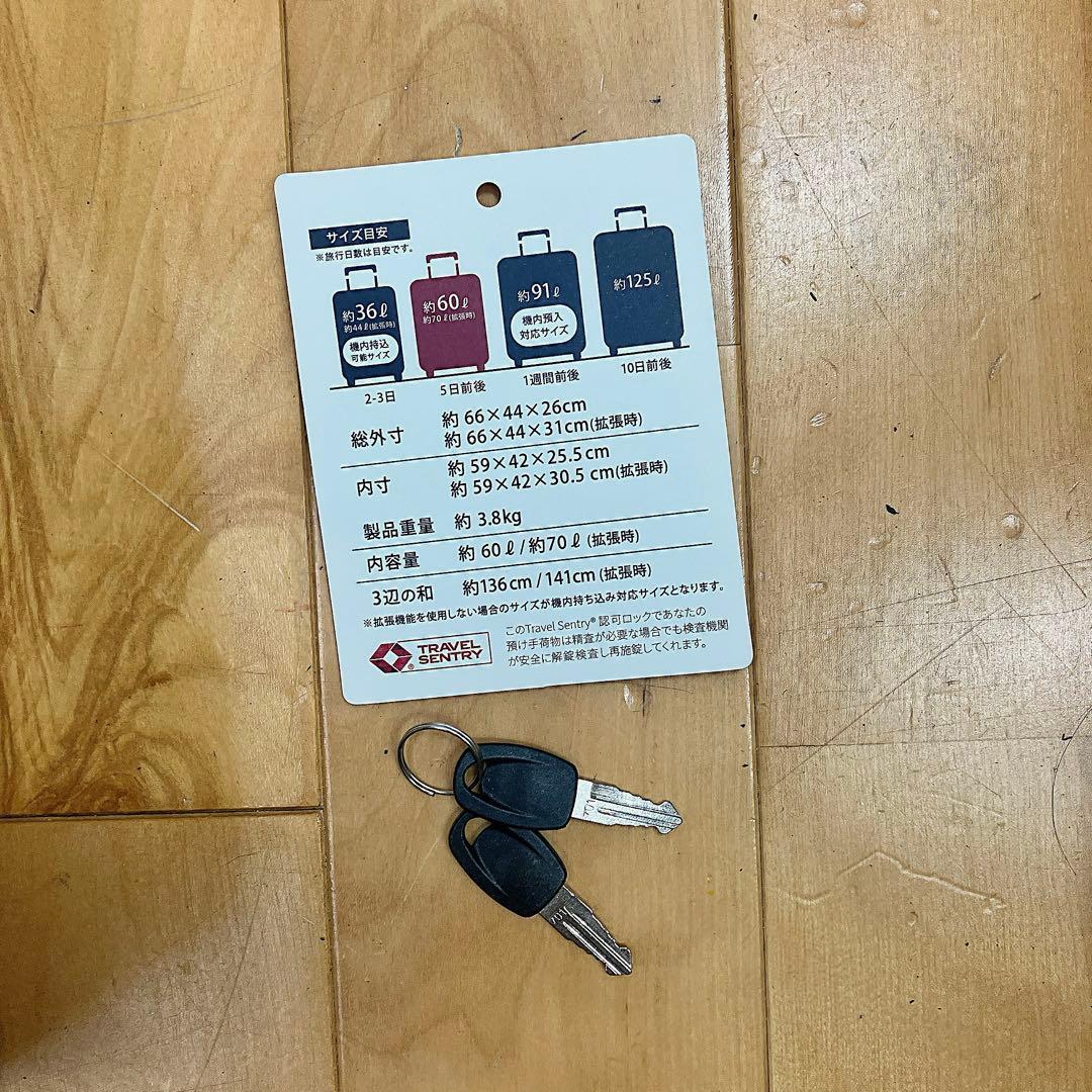 60L US3001 ポロ　アッスン　スーツケーキャリーケース