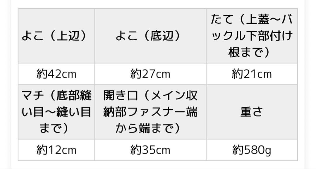 HAYNI 今季 完売品 Lekha ボディバッグ ブラック ミニポーチ付 美品