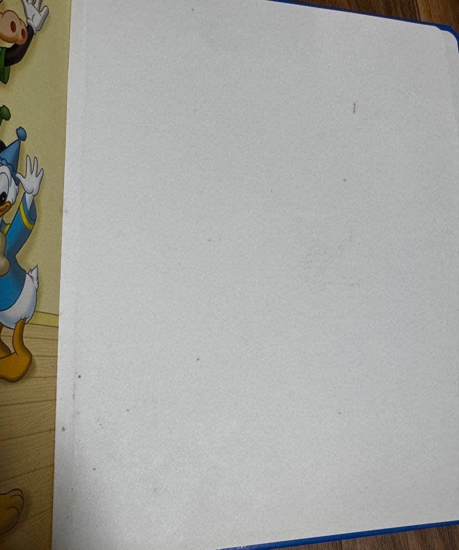 【ひまわり】DWE② (2/5箱)