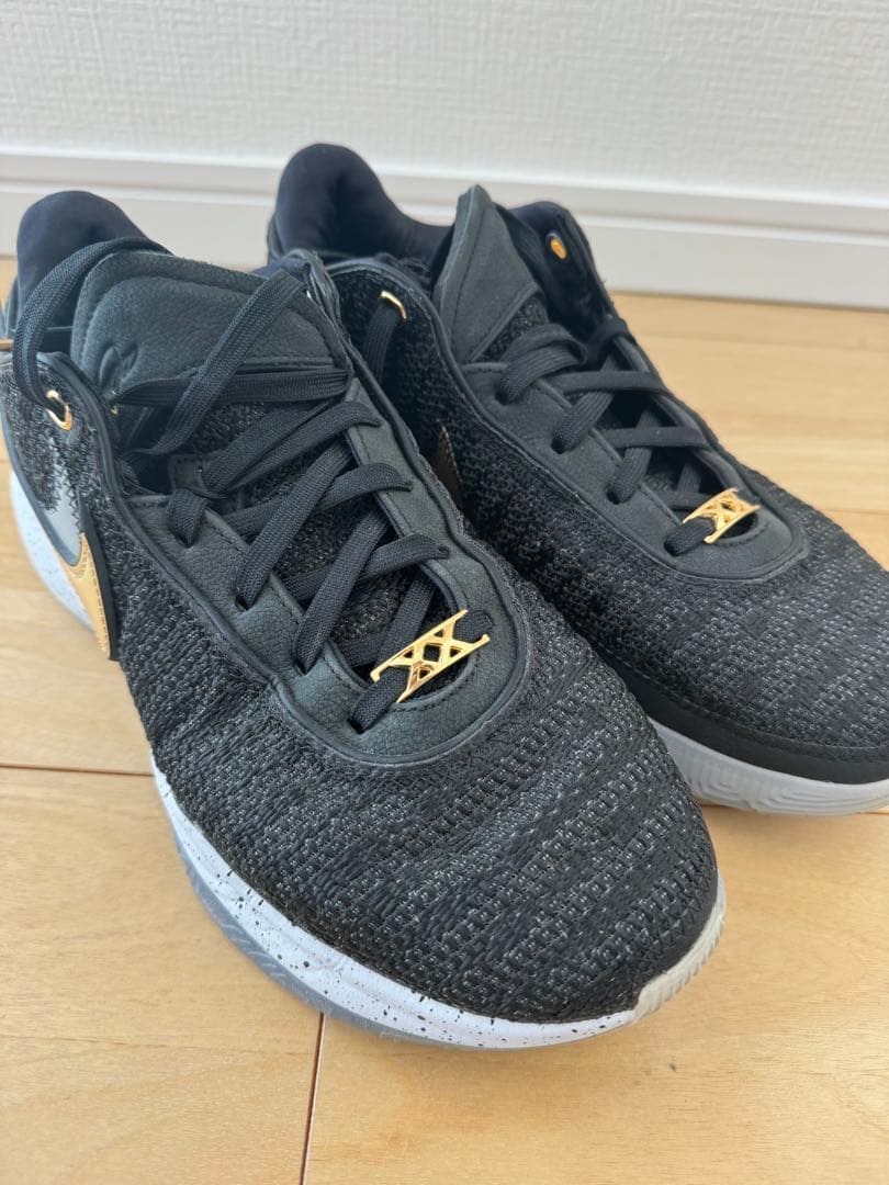シューズ(男性用) Nike Lebron 20 \