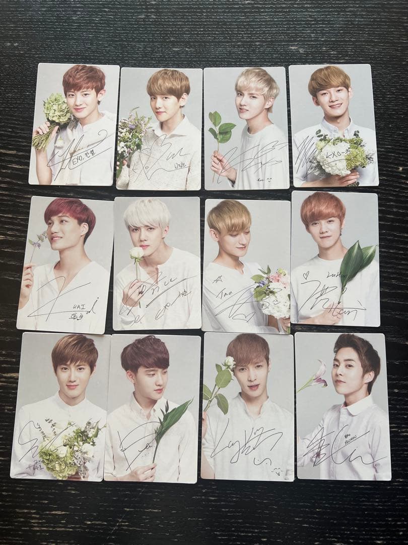 【新品未使用】nature republic EXO トレカ12枚セット