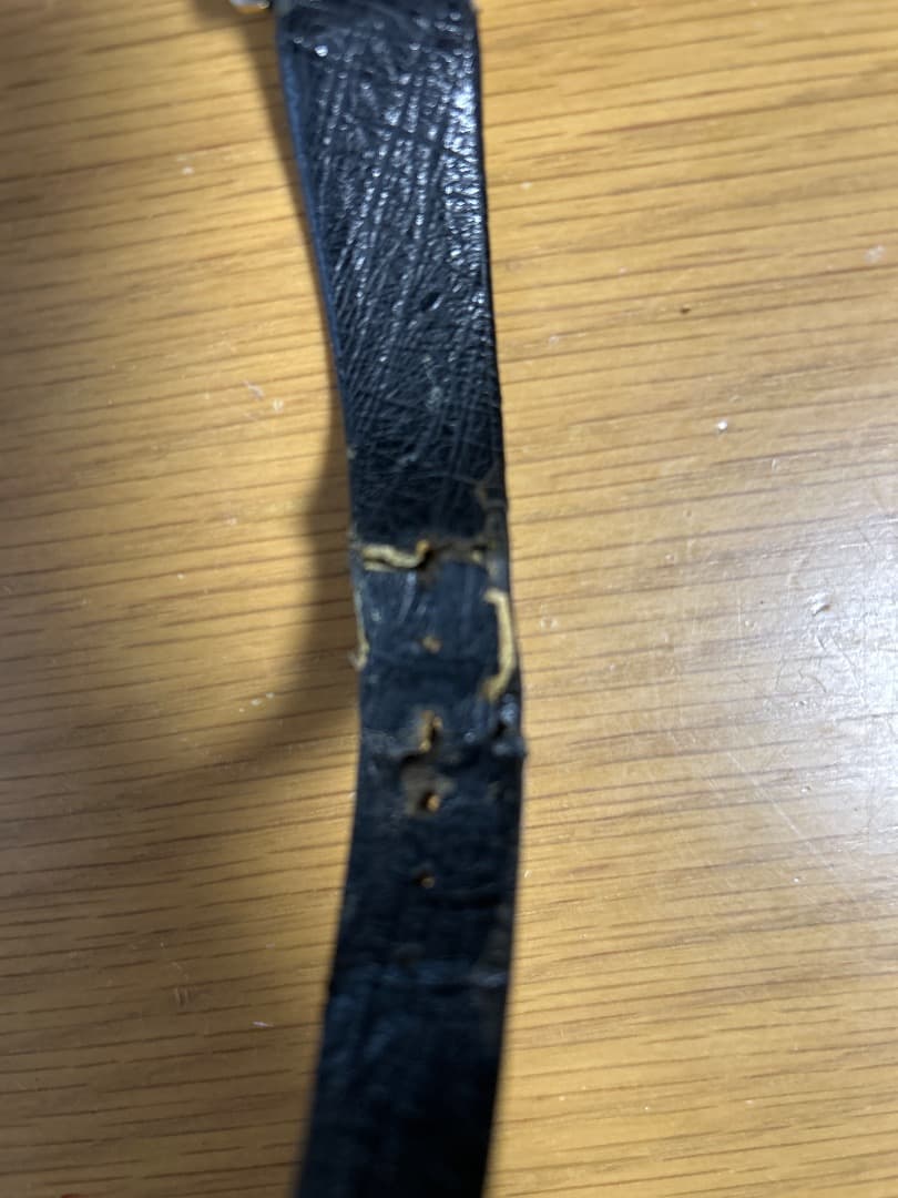 オメガ　シーマスター