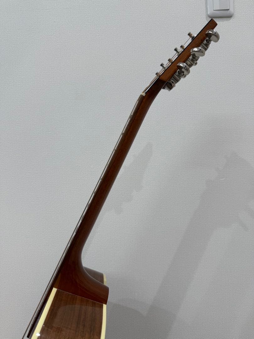 Gibson hummingbird(ハードケース付)