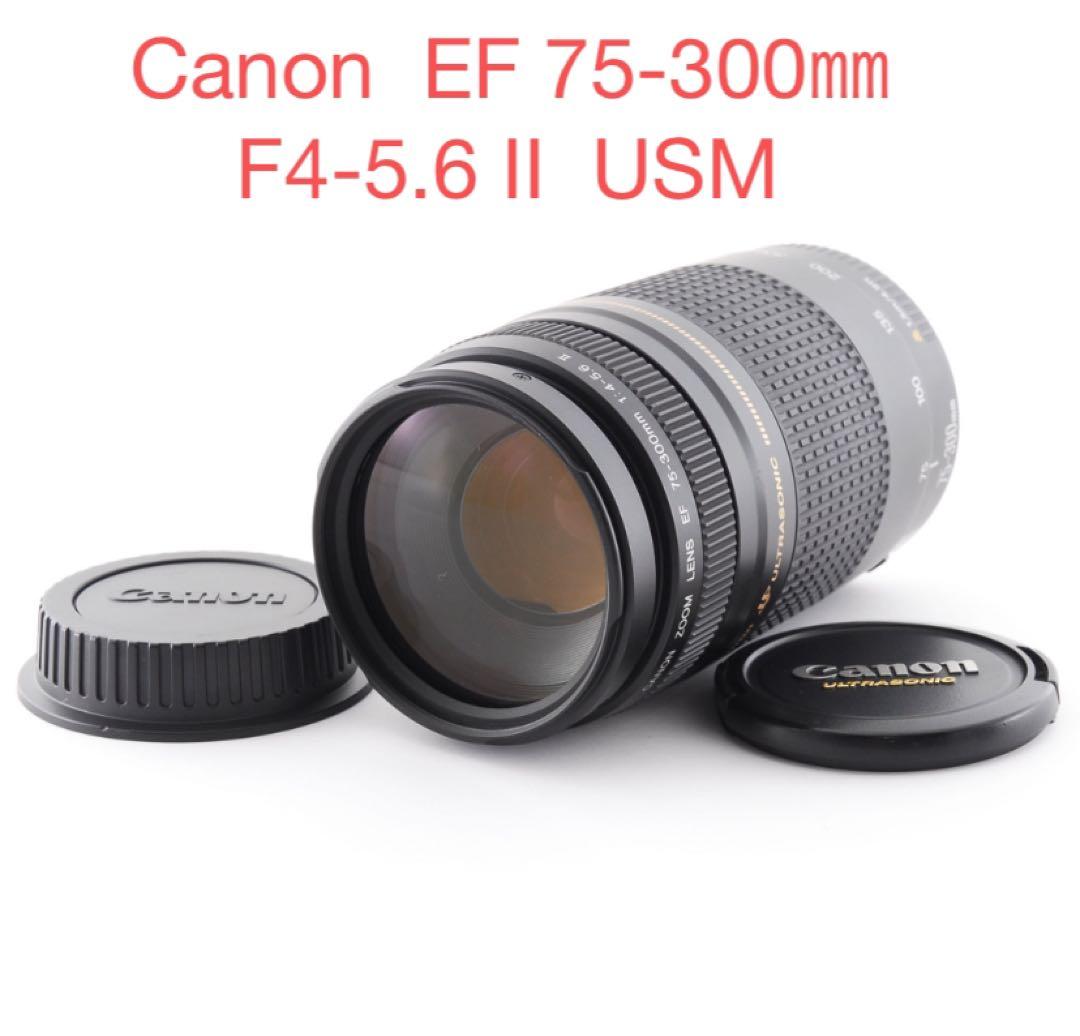 望遠レンズ☆キャノンCANON EF 75-300㎜ F4-5.6 II