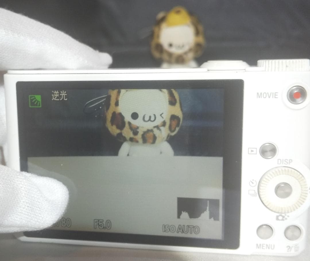 【美品】SONY DSC-WX350 デジタルカメラ/手ぶれ補正/Wi-Fi対応