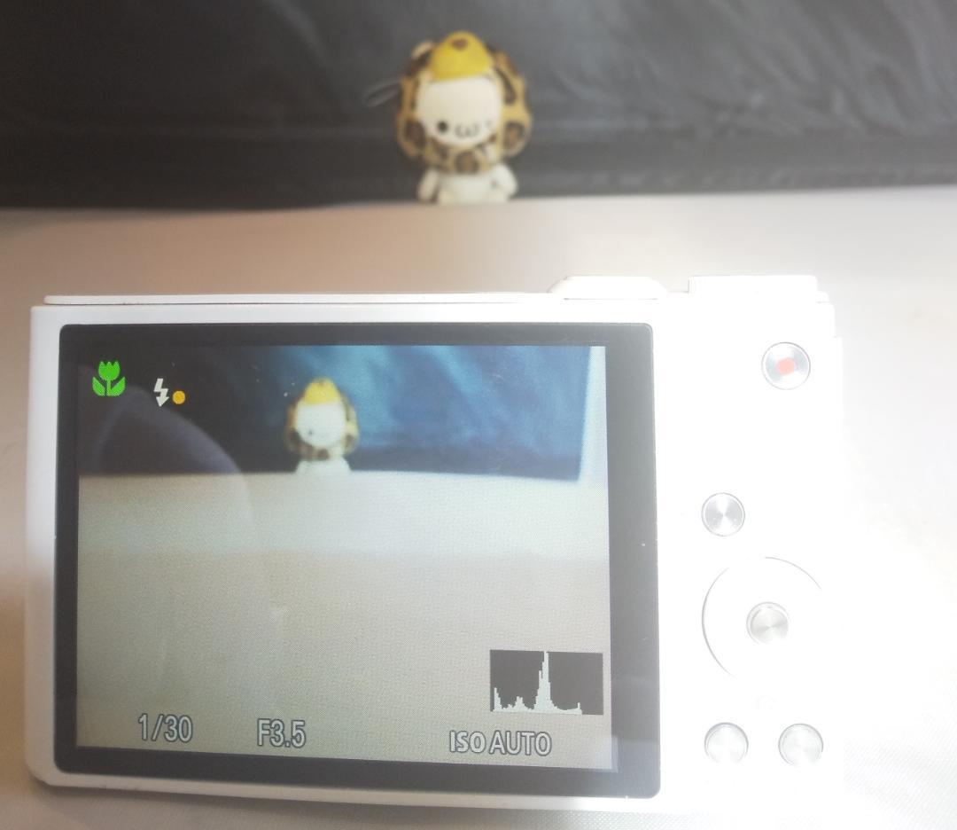 【美品】SONY DSC-WX350 デジタルカメラ/手ぶれ補正/Wi-Fi対応