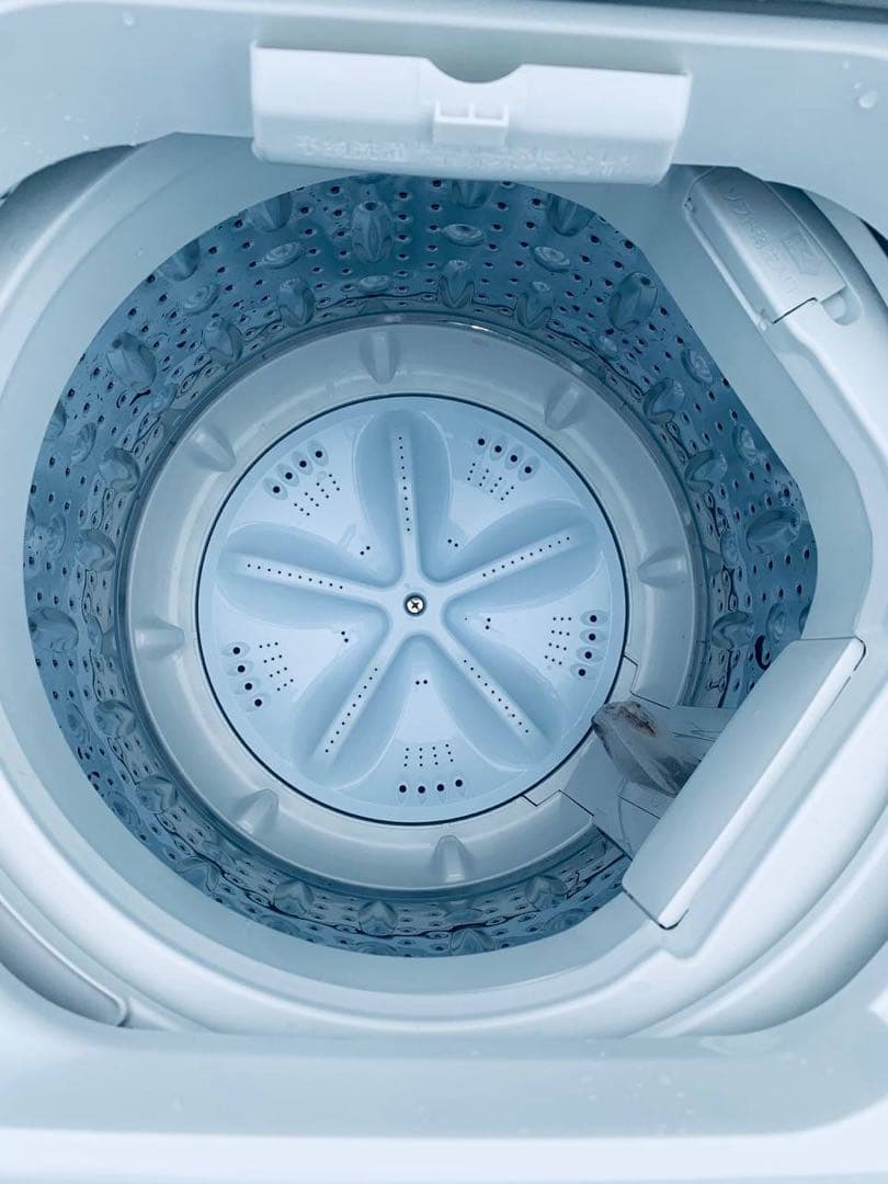 ♦MAXZEN 全自動電気洗濯機【2024年製】MW50WP01WH