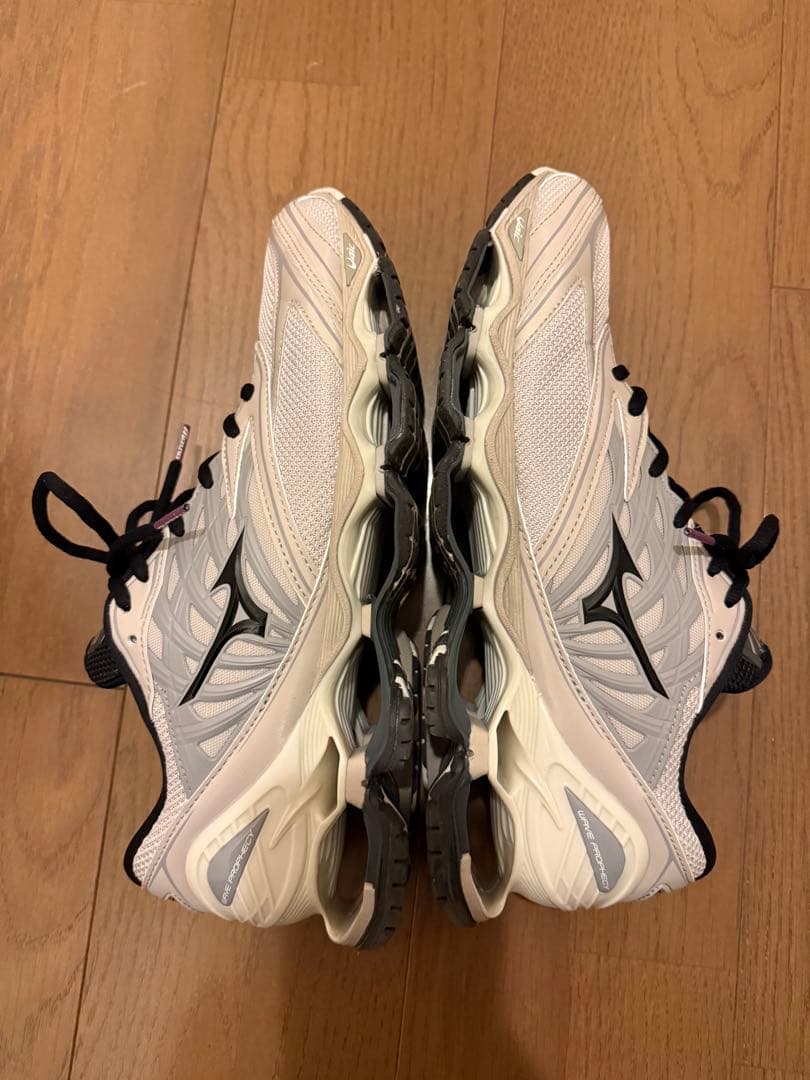 靴 MIZUNO WAVE PROPHECYLS