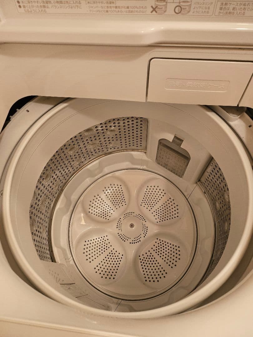 ビートウォッシュ BW-V100K W 2024年度製