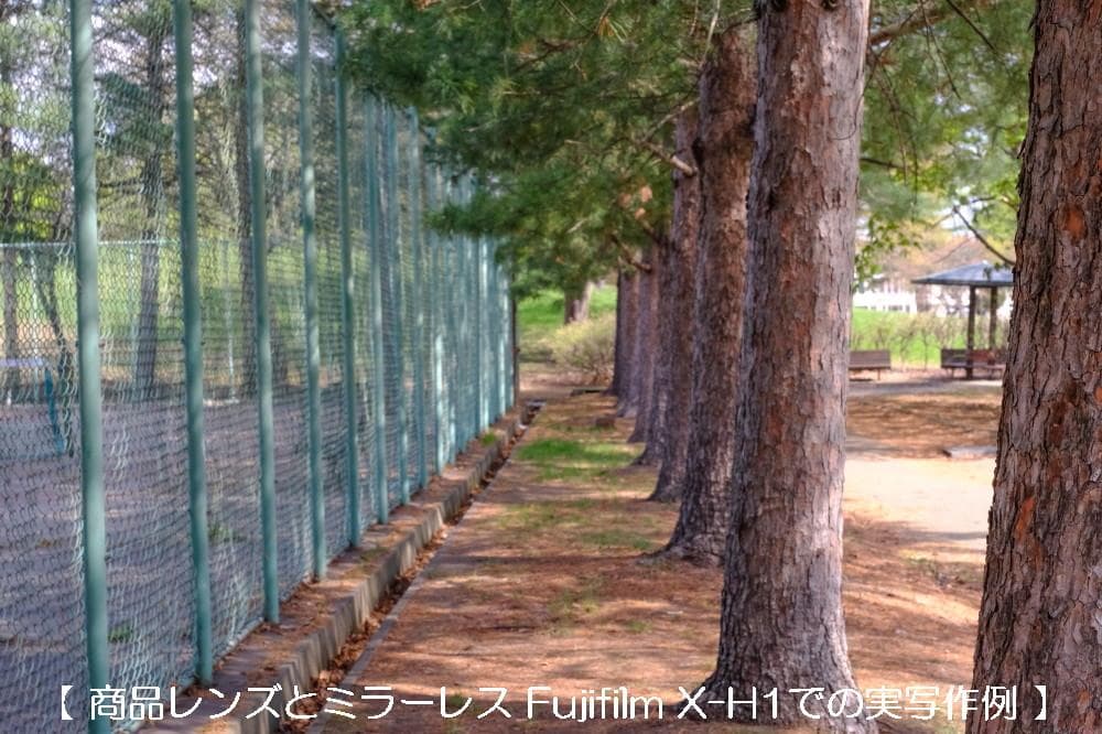 Nikon NIKKOR-H Auto 50mm f2 非Ai フルマニュアル