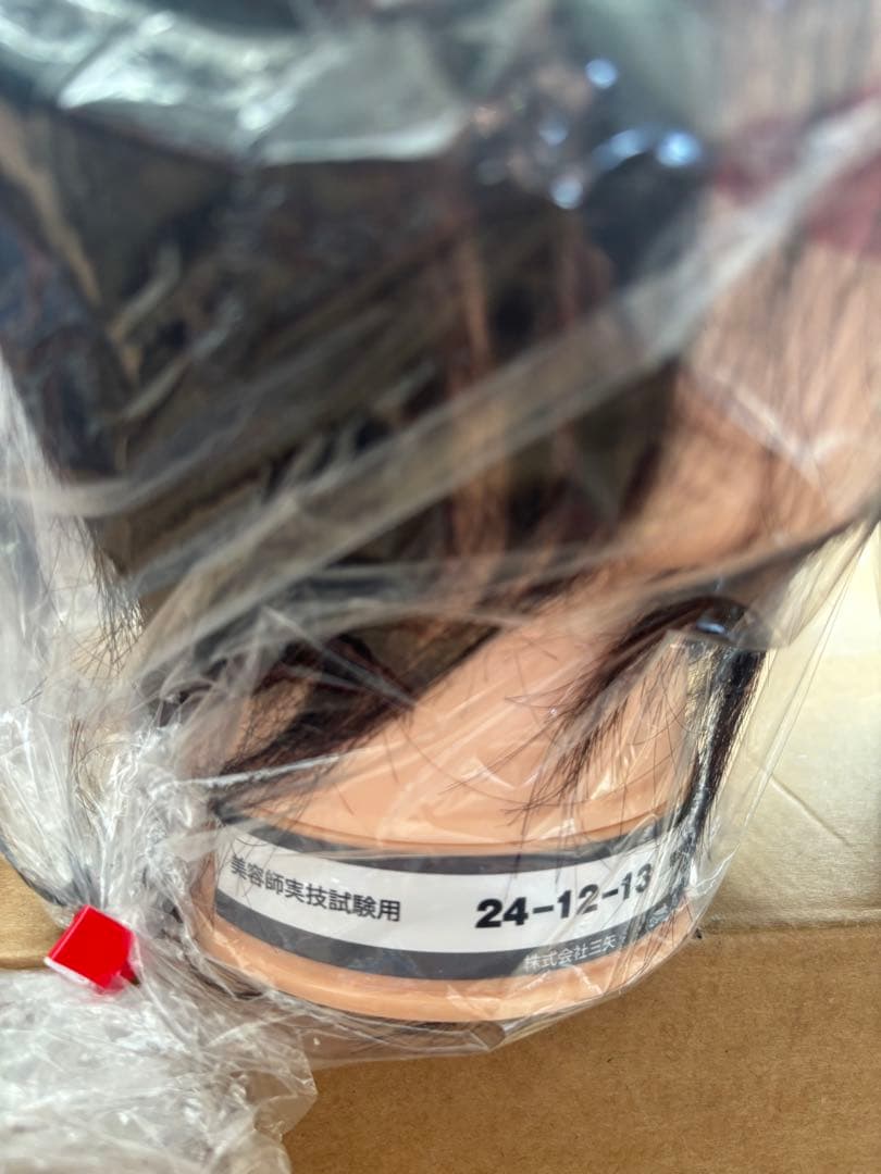 美容師実技試験用　人毛100% ウィッグ 5個セット