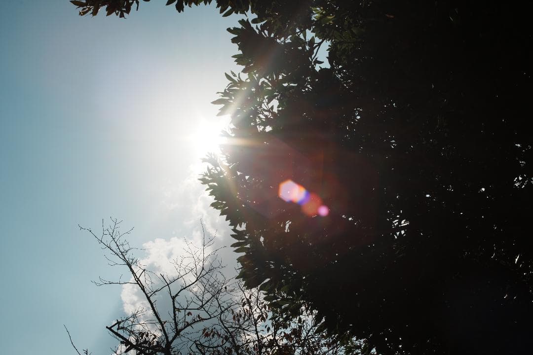 【和製貴婦人】MC ROKKOR-PG 50mm F1.4 ミノルタ 532