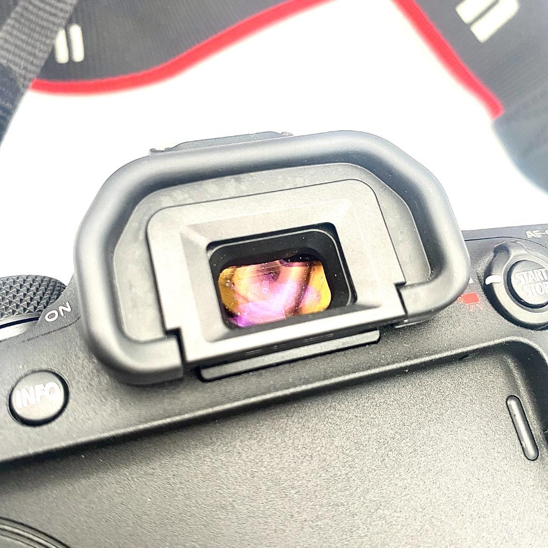 美品 Canon EOS 6D Mark II 本体 充電器 バッテリー セット