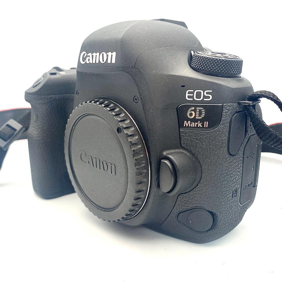 美品 Canon EOS 6D Mark II 本体 充電器 バッテリー セット